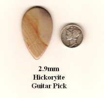 Hickoryite Guitar Pick GP3499